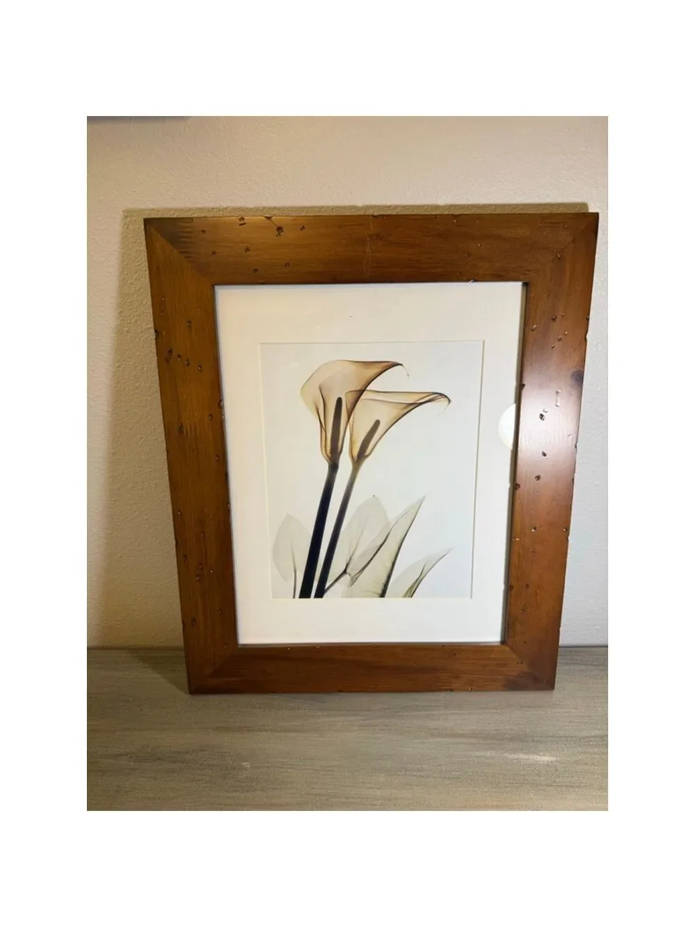 Framed Calla Lily art print approx. 15x18”